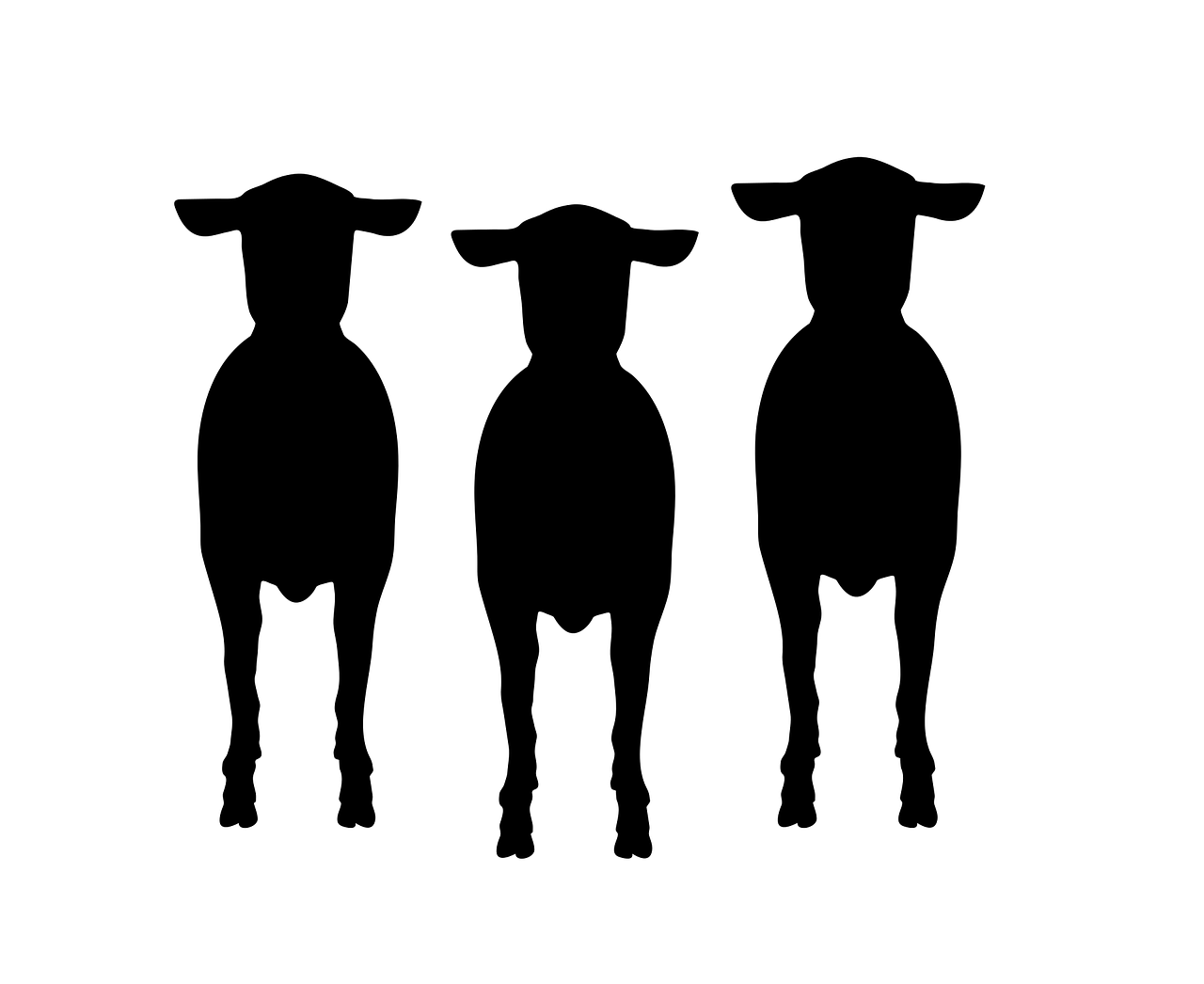 sheep-2672681_1280